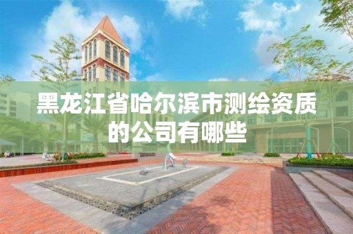 黑龍江省哈爾濱市測繪資質的公司有哪些