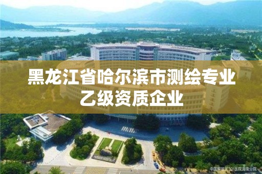 黑龍江省哈爾濱市測繪專業乙級資質企業