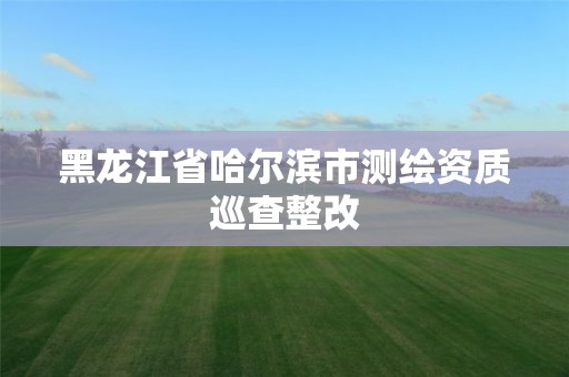 黑龍江省哈爾濱市測繪資質巡查整改