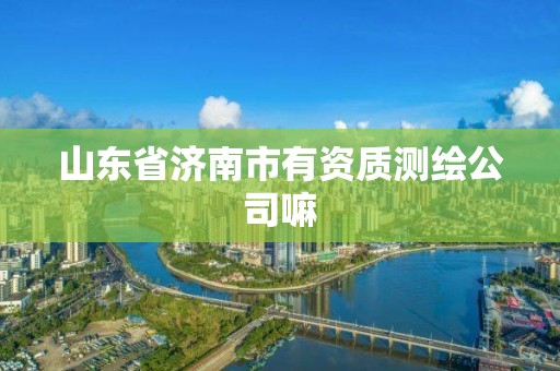 山東省濟(jì)南市有資質(zhì)測(cè)繪公司嘛