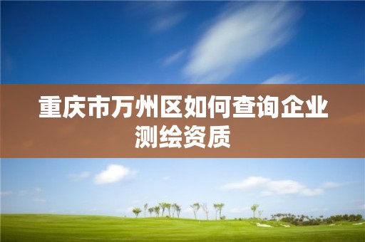 重慶市萬州區(qū)如何查詢企業(yè)測(cè)繪資質(zhì)