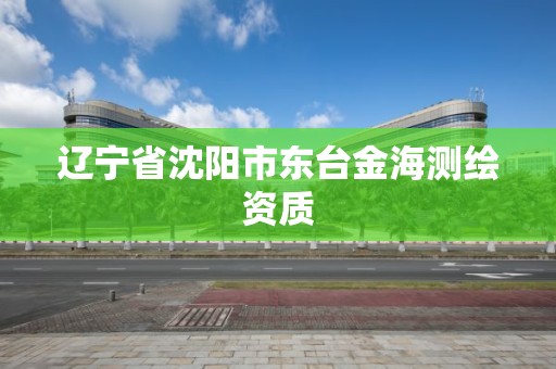 遼寧省沈陽市東臺金海測繪資質