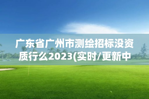 廣東省廣州市測繪招標沒資質行么2023(實時/更新中)