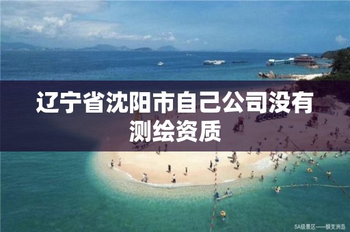 遼寧省沈陽市自己公司沒有測繪資質