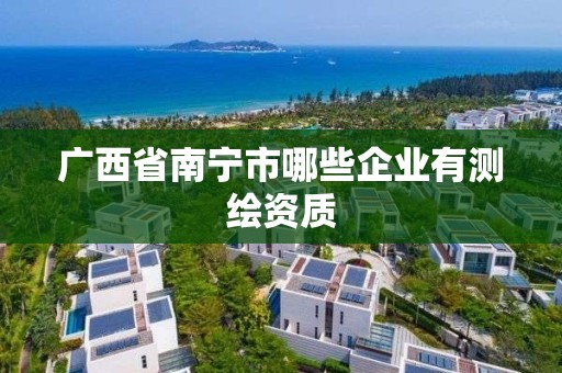 廣西省南寧市哪些企業有測繪資質