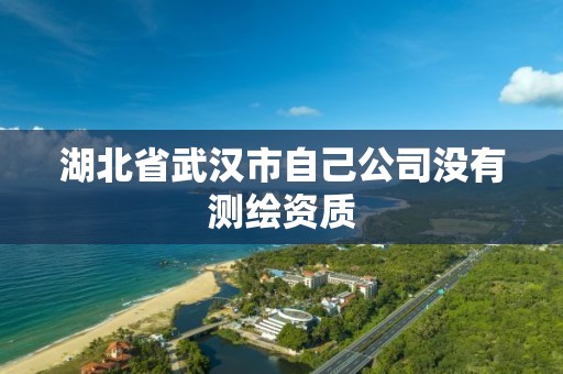 湖北省武漢市自己公司沒有測繪資質