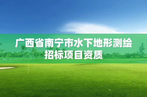 廣西省南寧市水下地形測繪招標項目資質