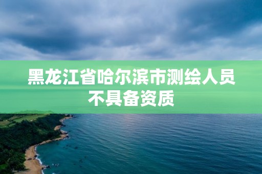 黑龍江省哈爾濱市測繪人員不具備資質