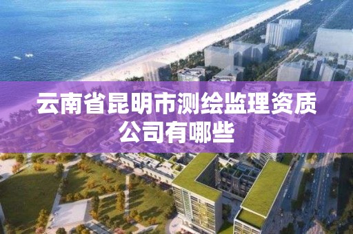 云南省昆明市測繪監理資質公司有哪些