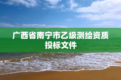 廣西省南寧市乙級測繪資質投標文件