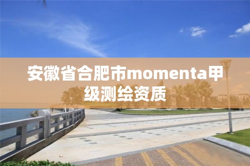 安徽省合肥市momenta甲級測繪資質(zhì)