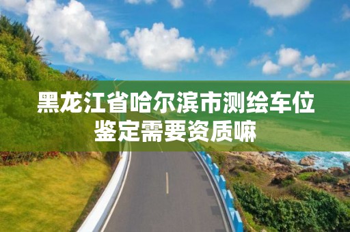 黑龍江省哈爾濱市測繪車位鑒定需要資質嘛