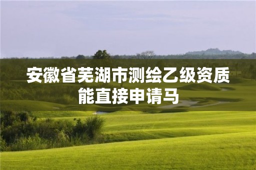 安徽省蕪湖市測繪乙級資質能直接申請馬