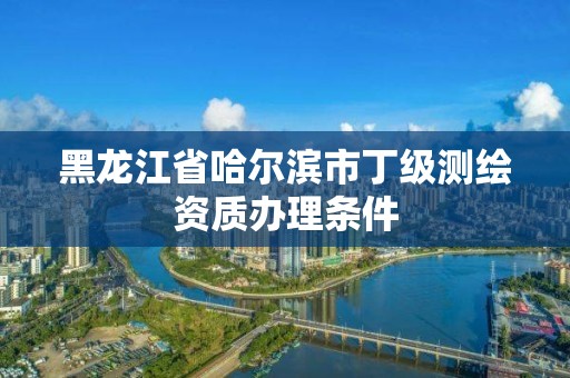 黑龍江省哈爾濱市丁級測繪資質辦理條件