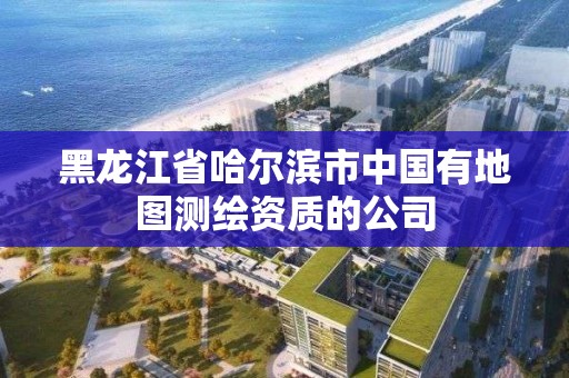 黑龍江省哈爾濱市中國有地圖測繪資質的公司