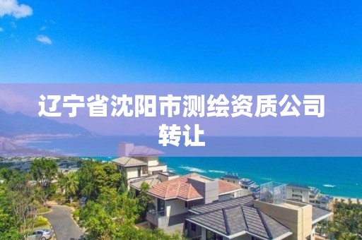 遼寧省沈陽市測繪資質公司轉讓