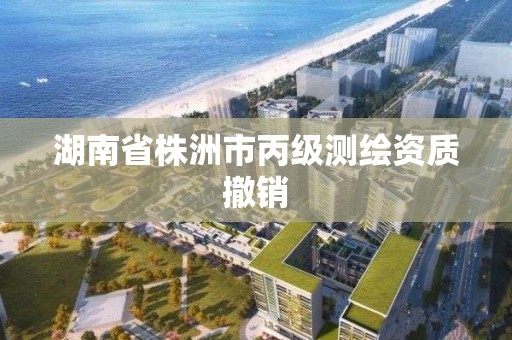 湖南省株洲市丙級測繪資質撤銷