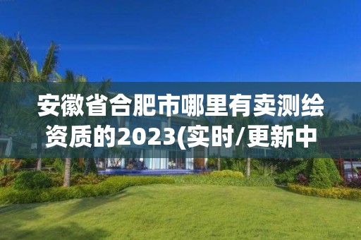 安徽省合肥市哪里有賣測繪資質的2023(實時/更新中)