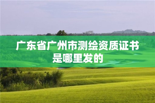 廣東省廣州市測繪資質證書是哪里發的