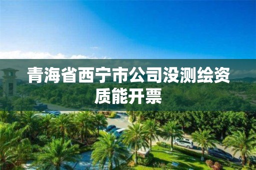 青海省西寧市公司沒測繪資質能開票