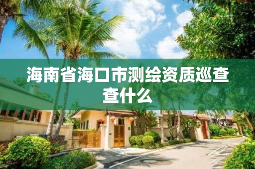 海南省海口市測繪資質巡查查什么