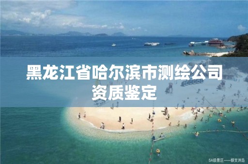 黑龍江省哈爾濱市測繪公司資質鑒定