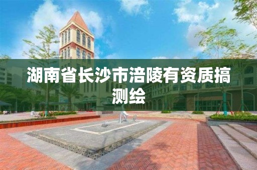 湖南省長沙市涪陵有資質搞測繪