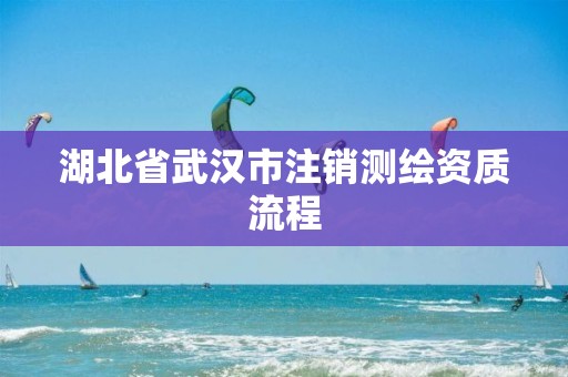 湖北省武漢市注銷測繪資質流程