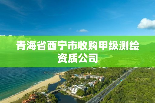 青海省西寧市收購(gòu)甲級(jí)測(cè)繪資質(zhì)公司