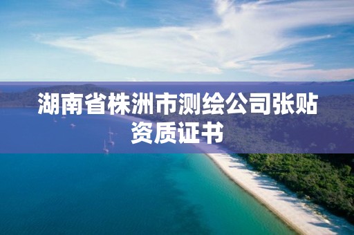 湖南省株洲市測(cè)繪公司張貼資質(zhì)證書(shū)