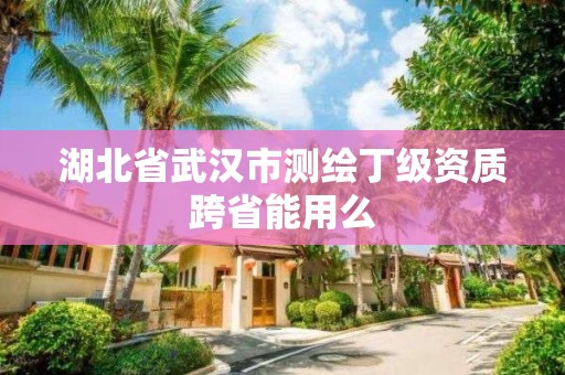 湖北省武漢市測繪丁級資質跨省能用么