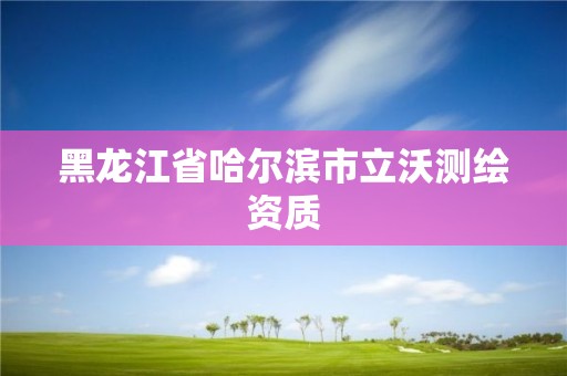 黑龍江省哈爾濱市立沃測(cè)繪資質(zhì)