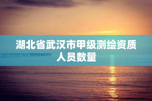 湖北省武漢市甲級測繪資質人員數量