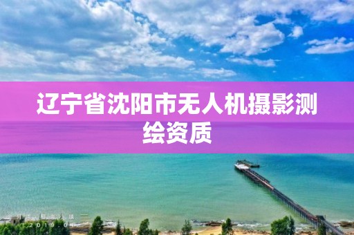 遼寧省沈陽市無人機(jī)攝影測繪資質(zhì)