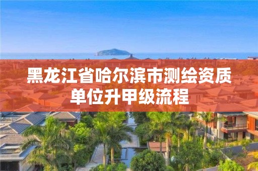 黑龍江省哈爾濱市測繪資質單位升甲級流程