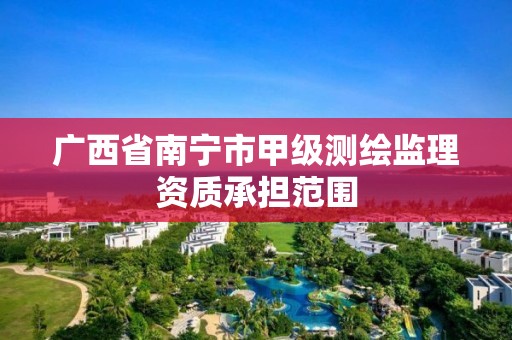 廣西省南寧市甲級測繪監理資質承擔范圍