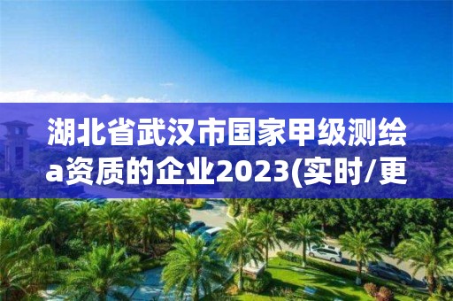 湖北省武漢市國家甲級測繪a資質的企業2023(實時/更新中)