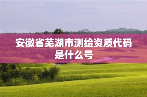 安徽省蕪湖市測繪資質代碼是什么號