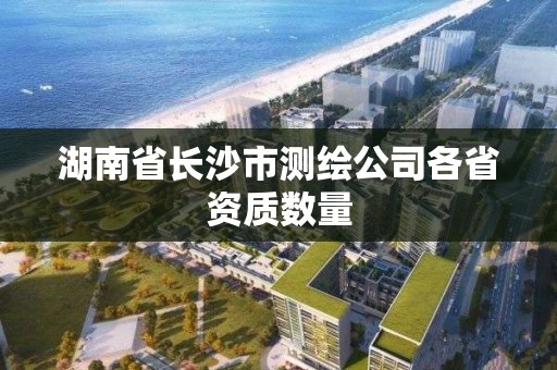 湖南省長沙市測繪公司各省資質數量