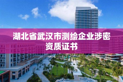 湖北省武漢市測繪企業涉密資質證書