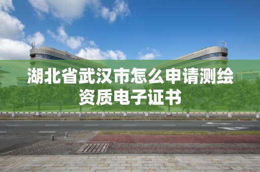 湖北省武漢市怎么申請(qǐng)測(cè)繪資質(zhì)電子證書(shū)