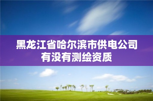 黑龍江省哈爾濱市供電公司有沒有測繪資質