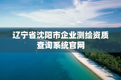 遼寧省沈陽市企業測繪資質查詢系統官網