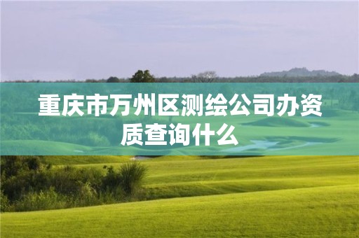 重慶市萬州區測繪公司辦資質查詢什么