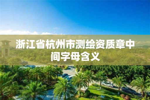 浙江省杭州市測繪資質章中間字母含義