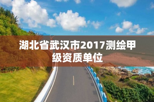 湖北省武漢市2017測繪甲級資質單位