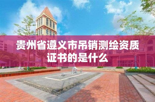 貴州省遵義市吊銷測繪資質證書的是什么