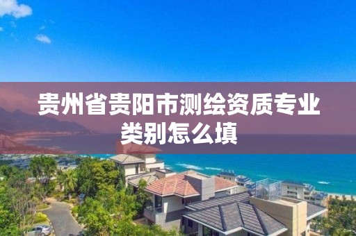 貴州省貴陽市測繪資質專業類別怎么填