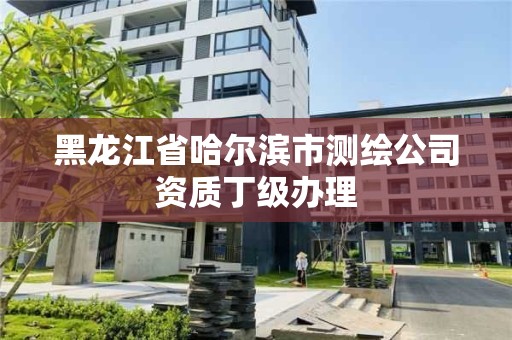 黑龍江省哈爾濱市測繪公司資質丁級辦理