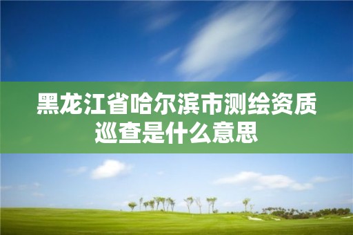 黑龍江省哈爾濱市測繪資質(zhì)巡查是什么意思